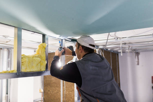 Best Energy Efficiency Insulation in Bellevue, OH