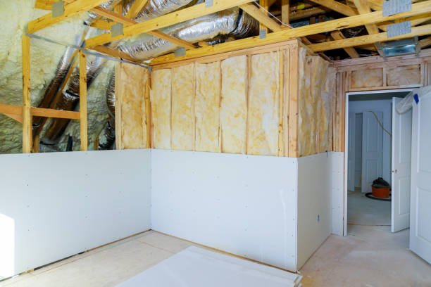 Best Eco-Friendly Insulation in Bellevue, OH