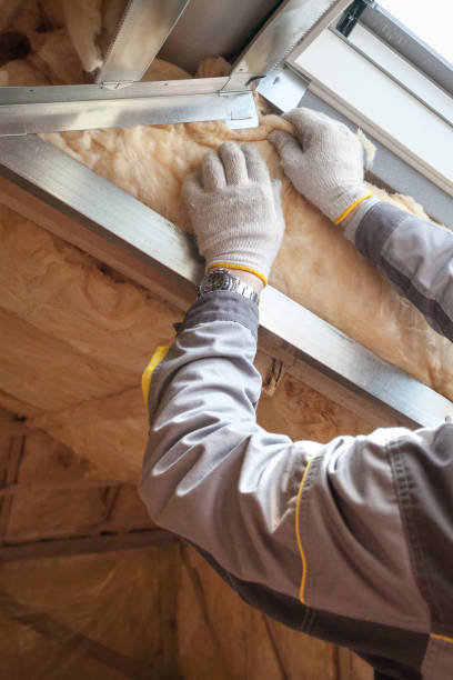 Best Cellulose Insulation in Bellevue, OH